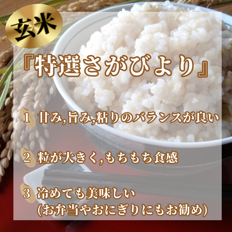 CIC38_『新米予約』令和７年産　特選さがびより【玄米】20kg(