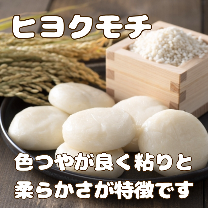 CIC53_佐賀県産もち米『ヒヨクモチ』３kg