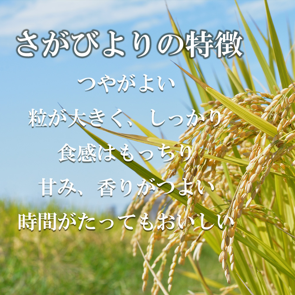 FE042_令和6年産さがびより10kg(5kg×2セット)