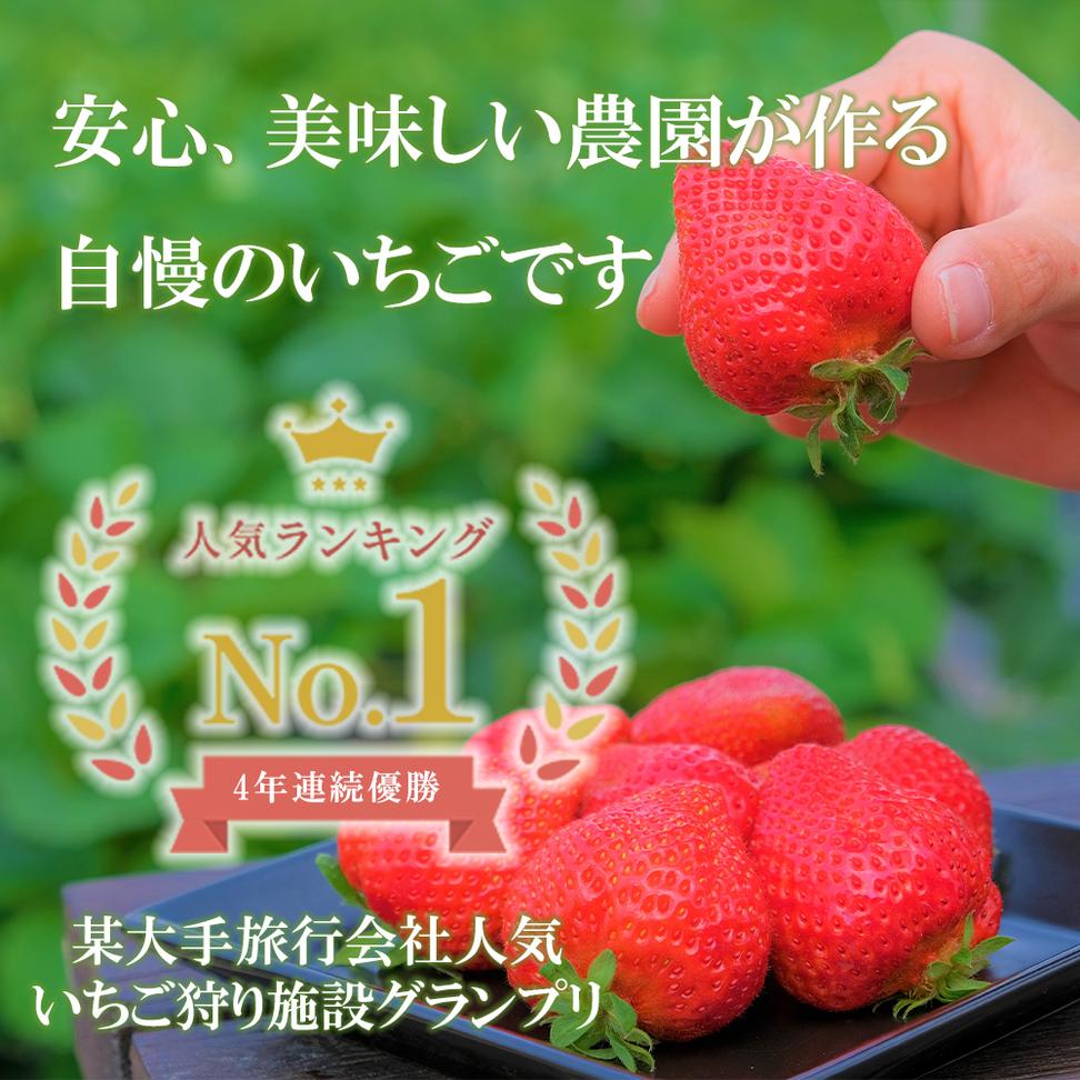 GF009_【2025年11月中旬～2026年4月発送】白いちごサイズ色々2