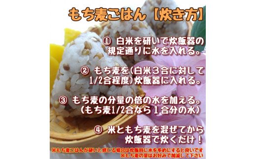 CIC04 【限定入荷】みやき町産『もち麦』(ダイシモチ)４kg(１