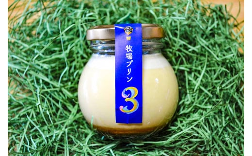 CK002　酪農家が本気で作った『牧場プリン”３”』６個★大