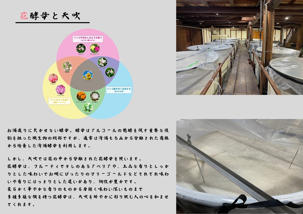 CN022_みやき町の地酒「天吹」純米吟醸 いちご酵母 生