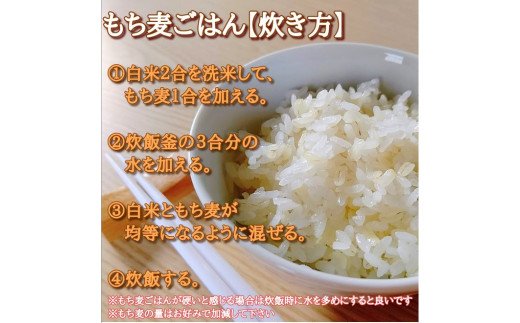 CIB92　佐賀県産『もち麦』４kg(１kg×４袋) 【キラリモチ】