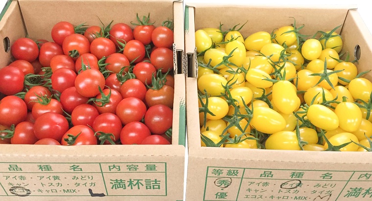 AR002　みやき町産ミニトマト　2種セット　各約1ｋｇ お届け