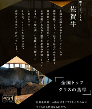 BN100 佐賀牛ももスライス200g×6P