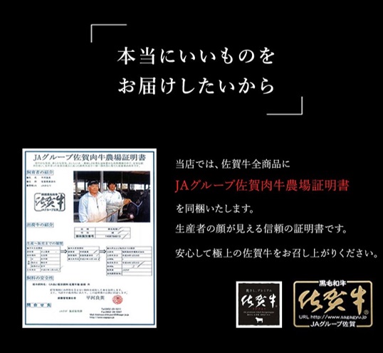 BN103【只今ご寄附から２カ月程度で発送】佐賀牛100％ハンバ