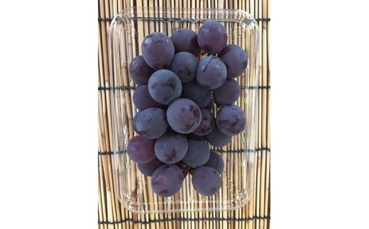 DV128_季節のフルーツ（くだもの）定期便12カ月