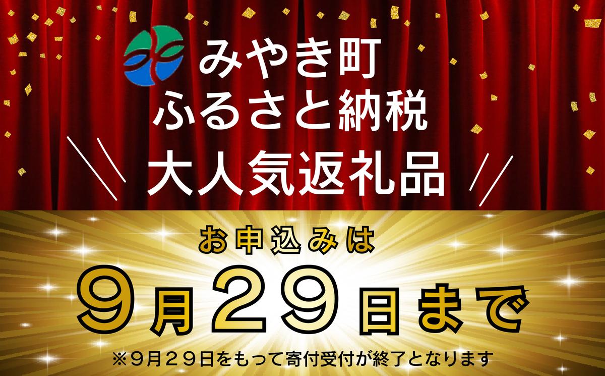 FM031_【最長半年待ちの大人気】佐賀牛入り熟成ハンバーグ18