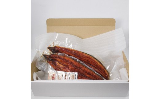 FK016　【6回定期便】九州産　うなぎ職人手焼き　蒲焼　国