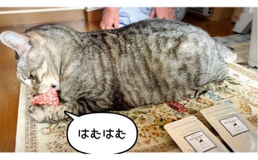 FB105  猫用☆天然100％ 無添加・無農薬またたびパウダー＆蹴