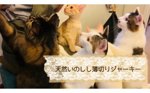 FB093　猫の無添加おやつ☆天然いのししジャーキー4個