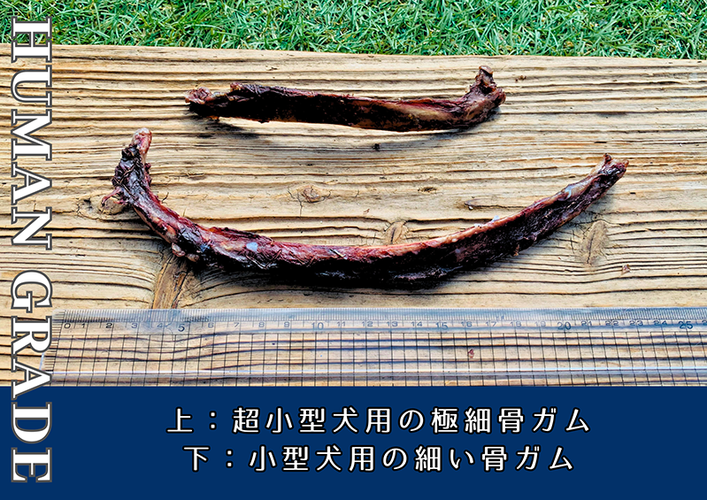 FB174_小型犬向け☆天然いのししの骨ガム200g【定期便】全12