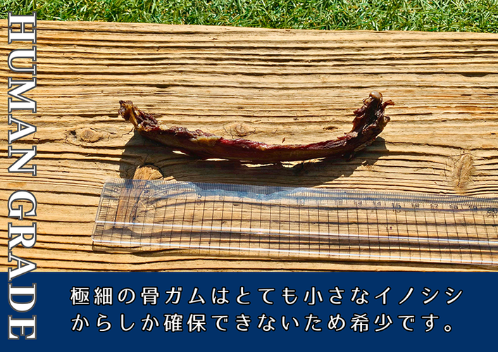 FB170_超小型犬向け☆天然いのししの骨ガム100g【定期便】全6