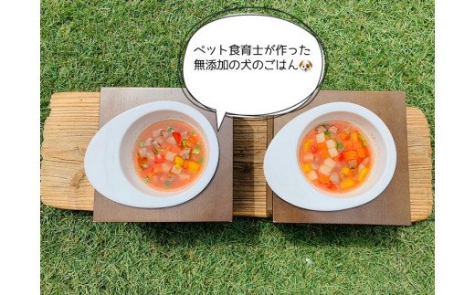 FB153　 犬の無添加ごはん☆具だくさんカレー＆クリームシ