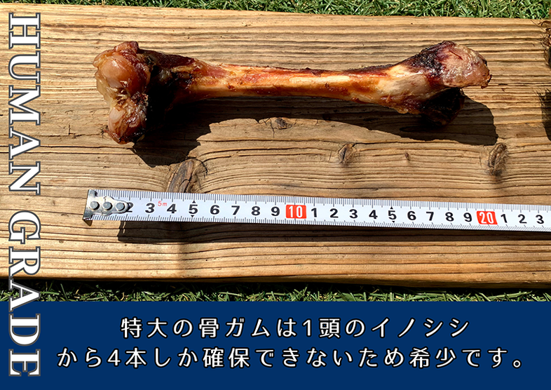 FB183_大型犬向け☆天然いのししの骨ガム6本【定期便】全12