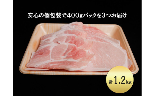 EN023　ブランド豚肉　肥前さくらポークうす切り（ロース）