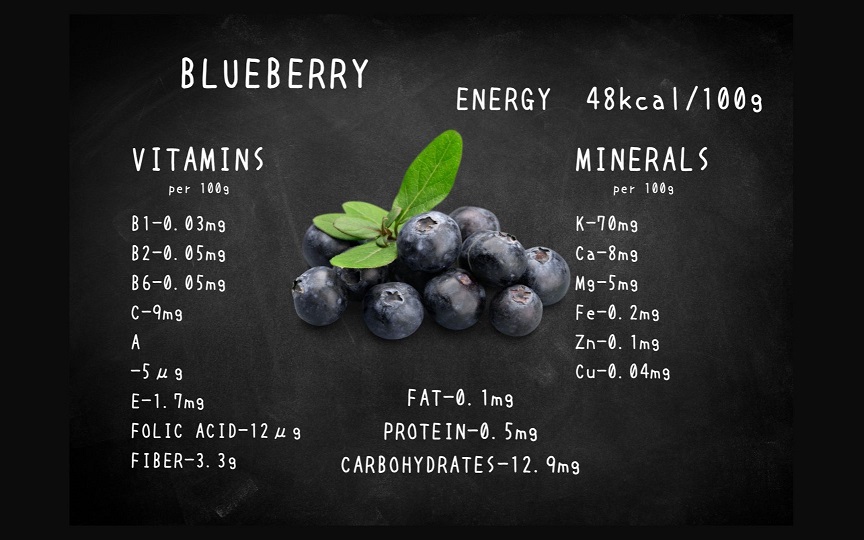 EG041_腸や皮膚の健康を維持する栄養素＜食物繊維16.2g、亜鉛