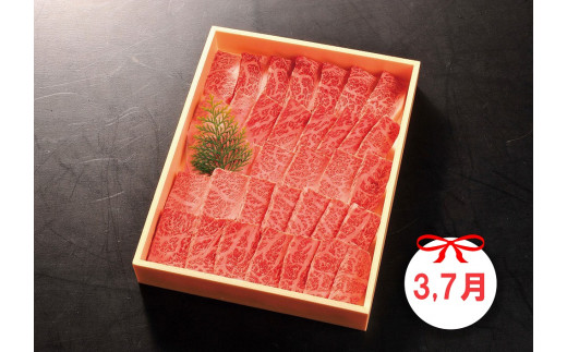 DP086_佐賀牛赤身定期便Ｃ♪　(1,3,5,7,9月お届け)　ヒレステー