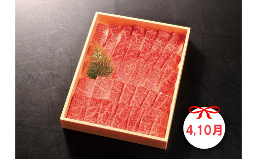 DP085_佐賀牛お一人様ご褒美定期便♪Ｂ　(2,4,6,8,10月お届け)