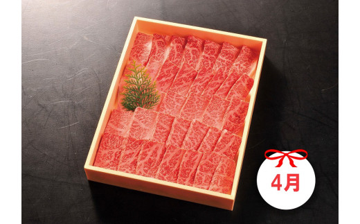 DP084_佐賀牛お一人様ご褒美定期便♪Ａ　(2,4,6月お届け)人気