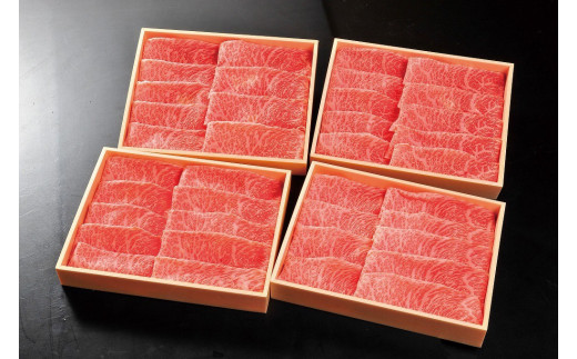 DP083_佐賀牛赤身定期便Ｄ♪　(全３回/隔月お届け・奇数月)