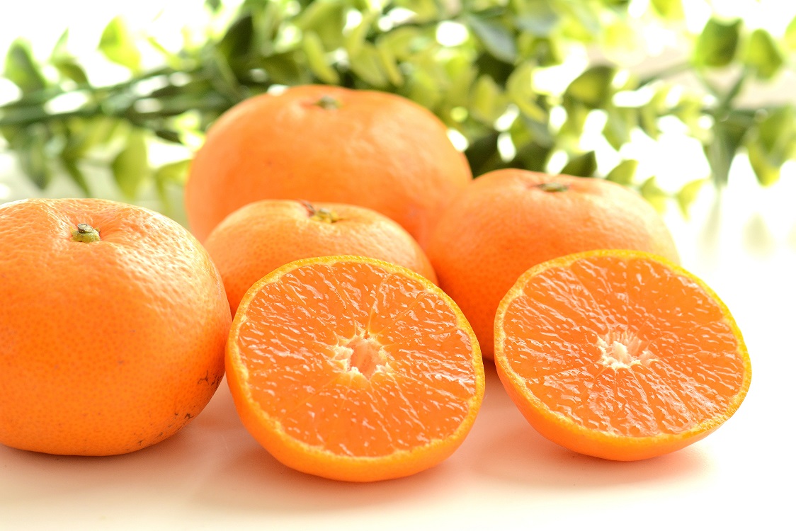 DY099_【今だけ!!限定10セット】温州みかん 10kg