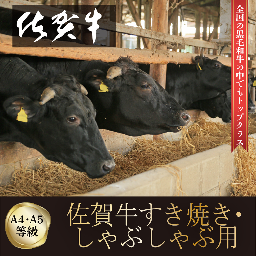 FM028_【発送まで約１か月待ち】佐賀牛すきやきしゃぶしゃ