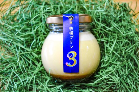 CK005 酪農家が本気で作った『牧場プリン”３”』１０個★