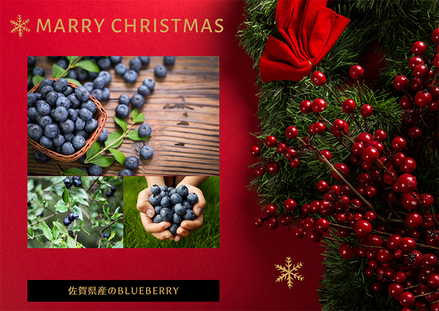 EG129_クリスマスケーキ☆腸や皮膚の健康を維持する栄養素