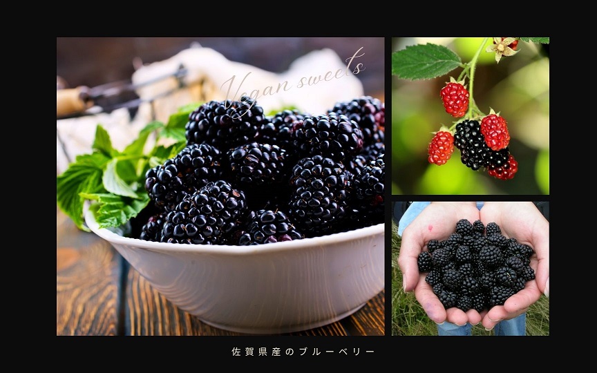 EG131_クリスマスケーキ☆腸や皮膚の健康を維持する栄養素