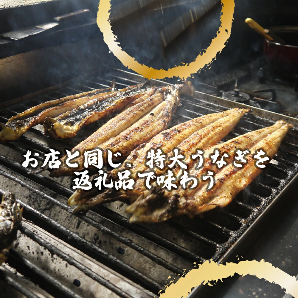 AK010_【冷蔵発送】朝開き国産うなぎ 当日発送２尾（1尾あた