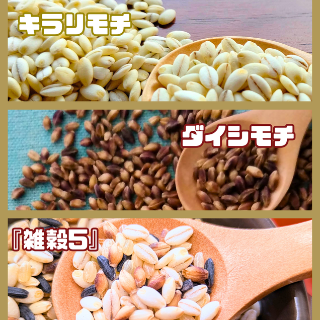 CIC11_３種類の雑穀バラエティーセットA（キラリモチ・ダイ