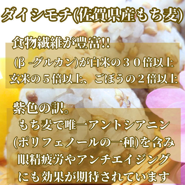 CIC18_【３回定期便】ダイシモチ４ｋｇ もち麦 キラリ もち