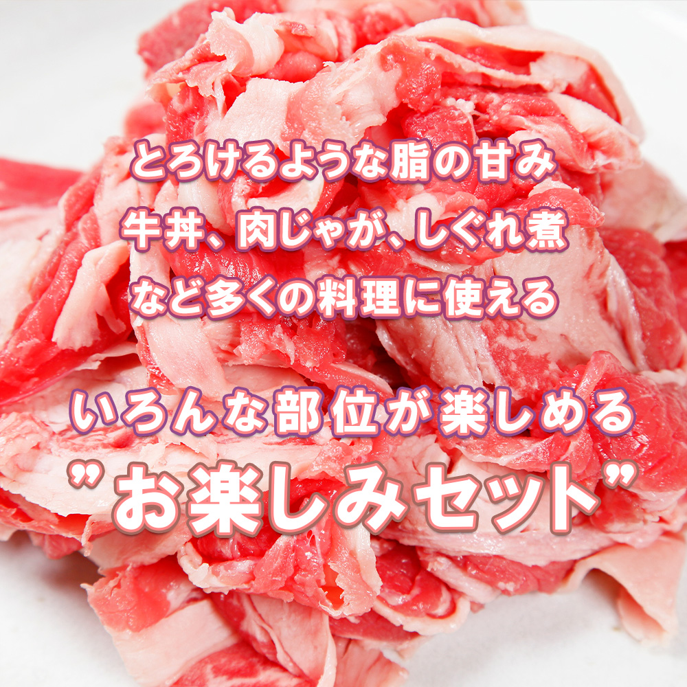 BN128_坂本ストアー佐賀牛お手頃セット（ステーキ・ハンバ