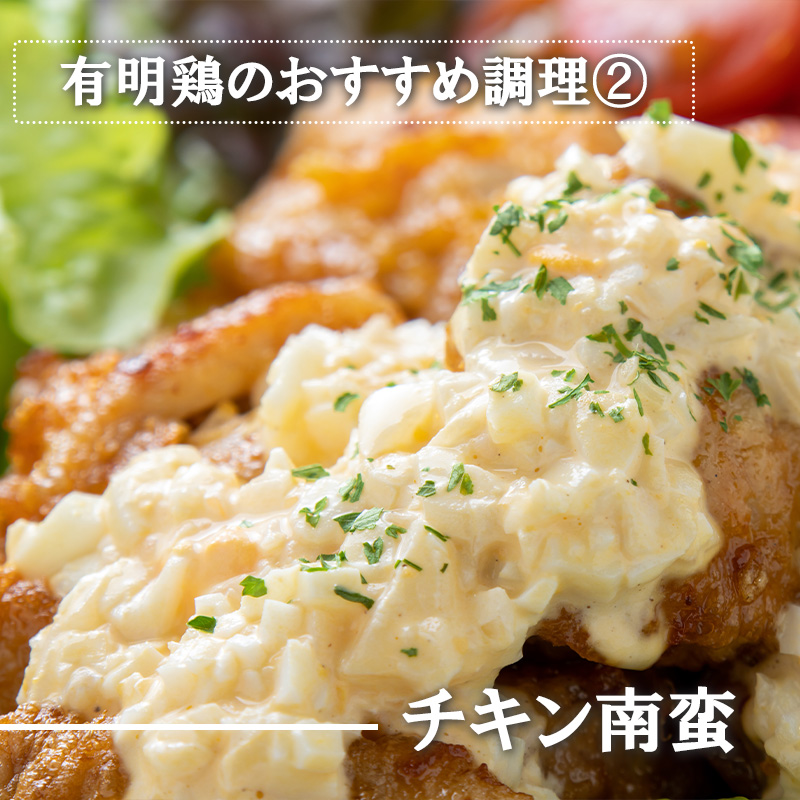 BN132_有明鶏むね2ｋｇ入（500ｇｘ4ｐ）