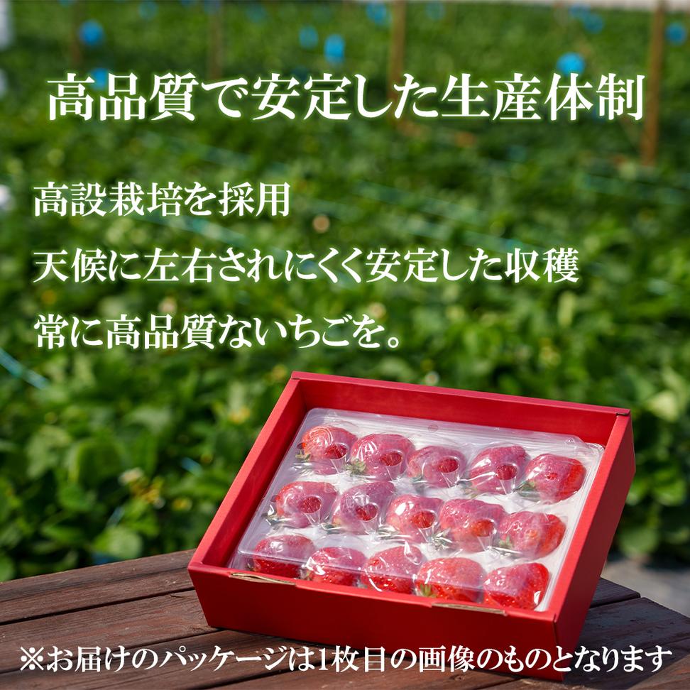 GF006_【2025年11月中旬～2026年4月発送】極上 紅白いちご 400ｇ