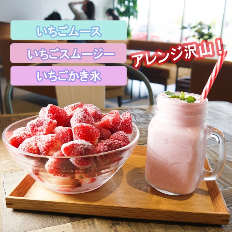 DV229_冷凍いちご（いちごさん）3kg(500gX6)