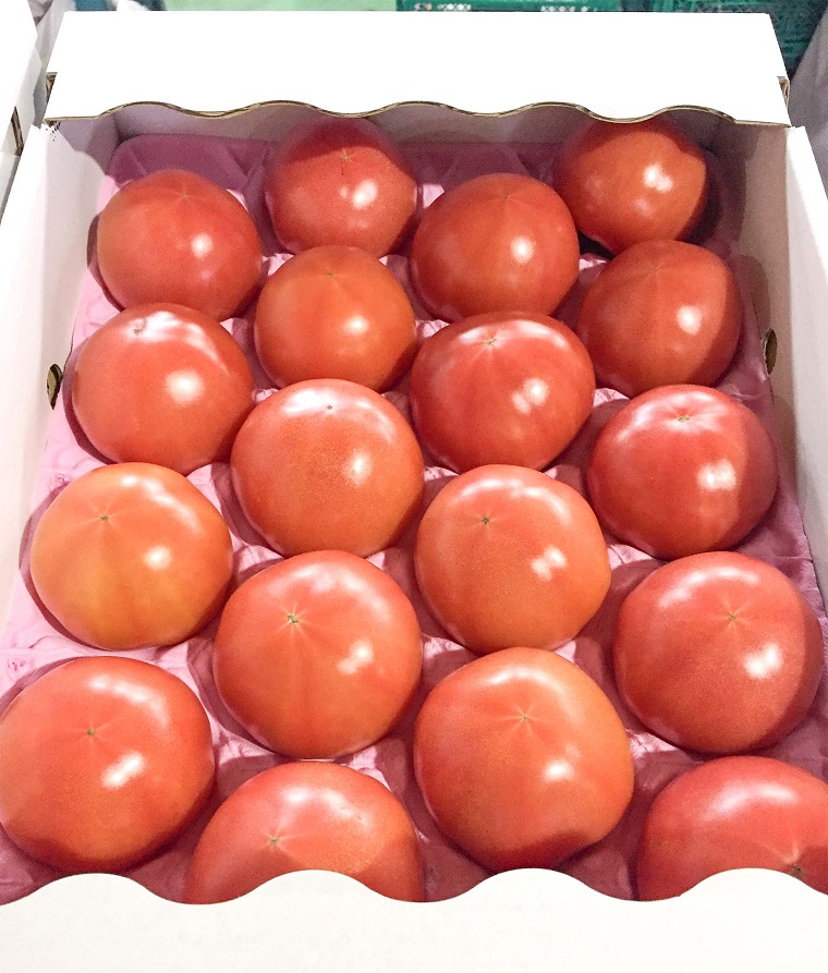 AR001　佐賀県産愛味とまと　めぐみトマト約４ｋｇ