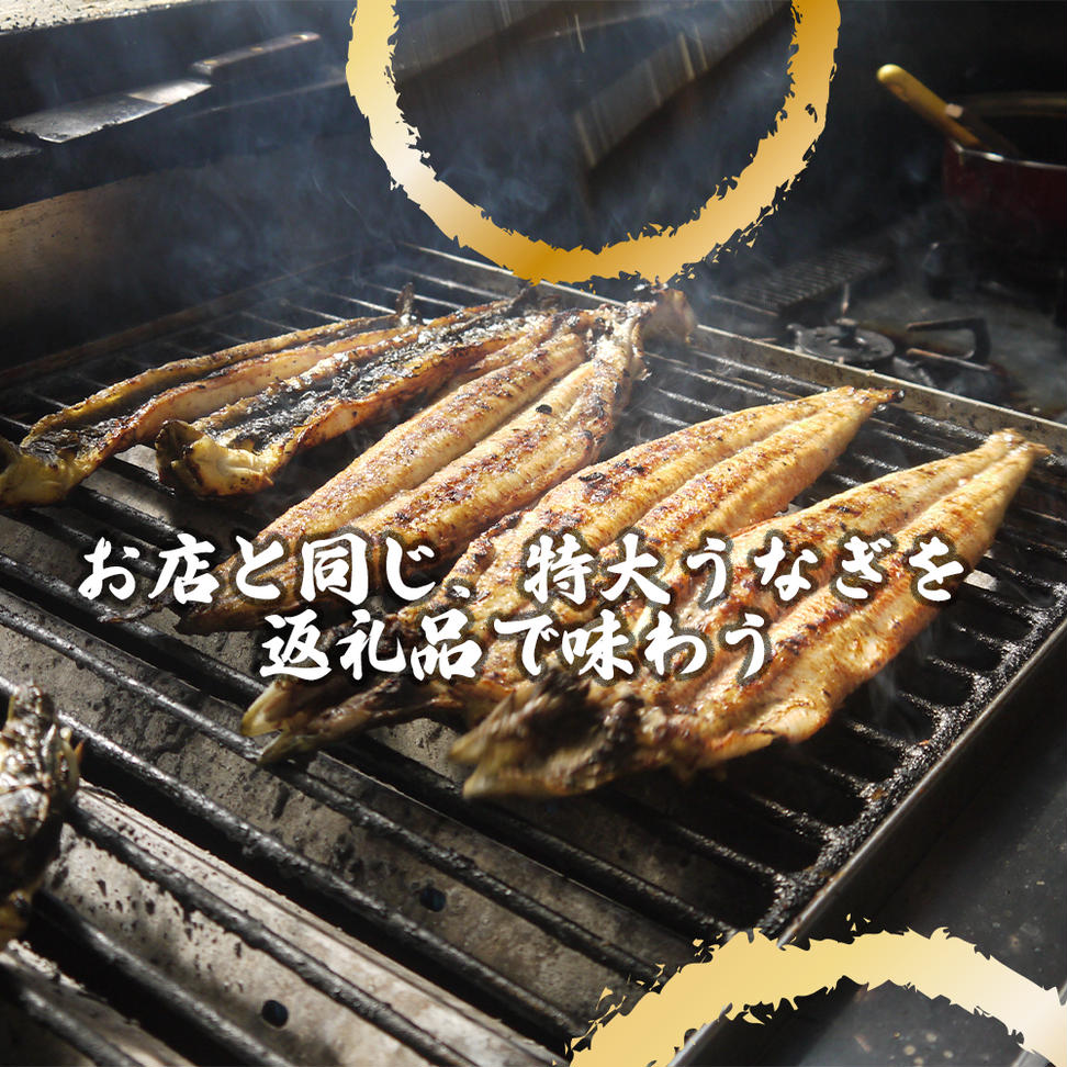 AK006_【冷蔵発送】朝開き国産うなぎ 当日発送3尾（1尾あた