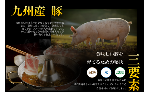 FM016 佐賀牛華盛と九州産豚バラしゃぶ　2の重