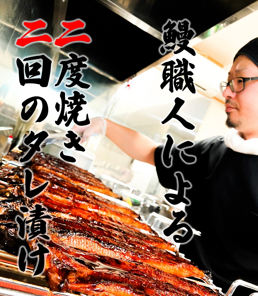 FK016　【6回定期便】九州産　うなぎ職人手焼き　蒲焼　国