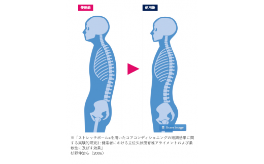 FI002【LPN社製】「ストレッチポールEX」（ネイビー色）一流