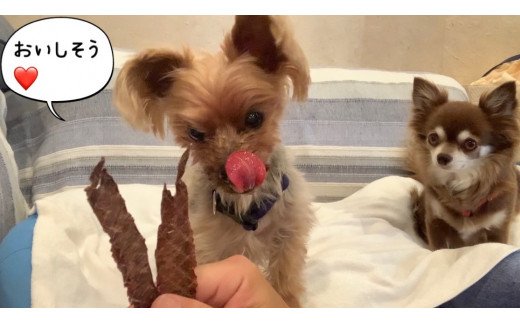 FB111  犬の無添加おやつ☆エミュージャーキー＆チキンジャ