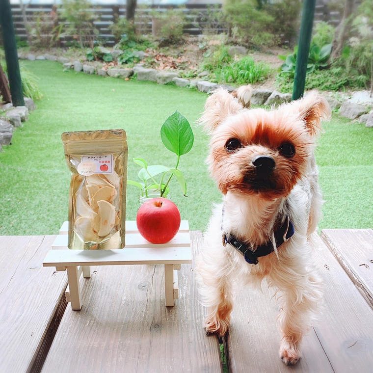 FB148　【10月～5月20日まで順次発送】犬の無添加おやつ☆お