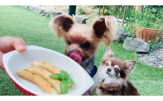 FB022 　犬の無添加おかず☆燻製の香りがたまらないスモー