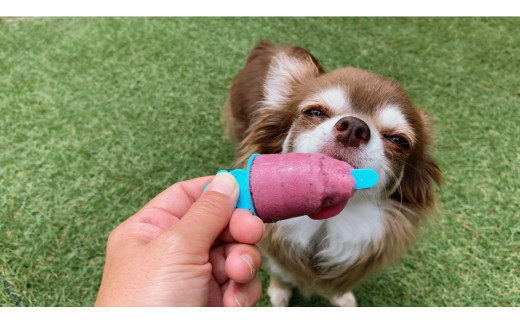 FB137 　【5月～9月発送】犬の無添加おやつ☆お砂糖不使用無