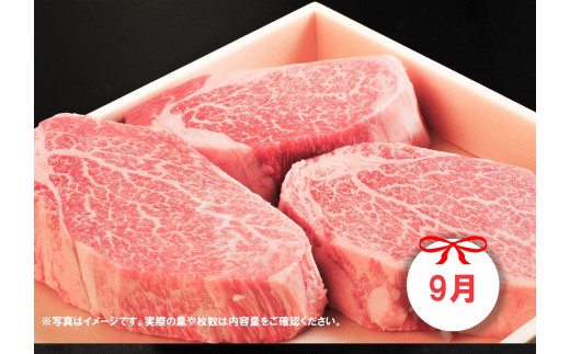 DP086_佐賀牛赤身定期便Ｃ♪　(1,3,5,7,9月お届け)　ヒレステー