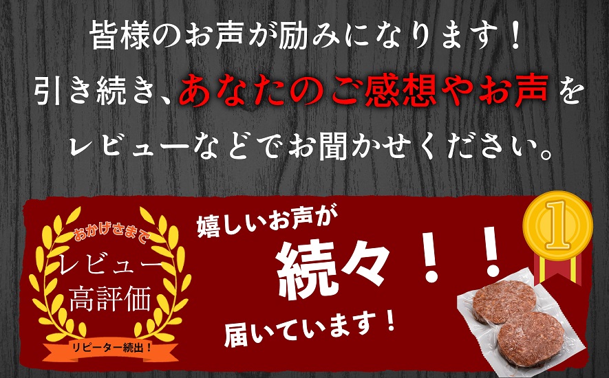 FM032_【最長半年待ちの大人気】佐賀牛入り熟成生ハンバー