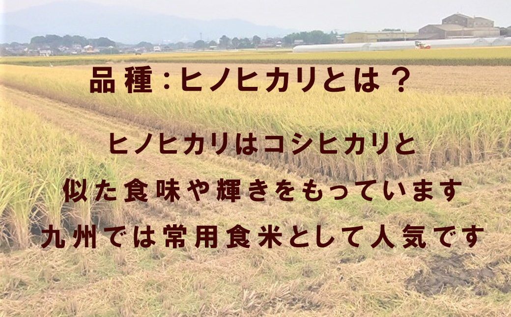 CQ041_【6か月定期便】ビーガン米10kg　玄米【植物性で育てた